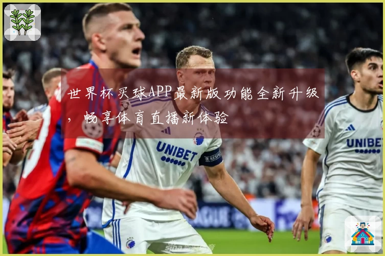 世界杯买球APP最新版功能全新升级，畅享体育直播新体验