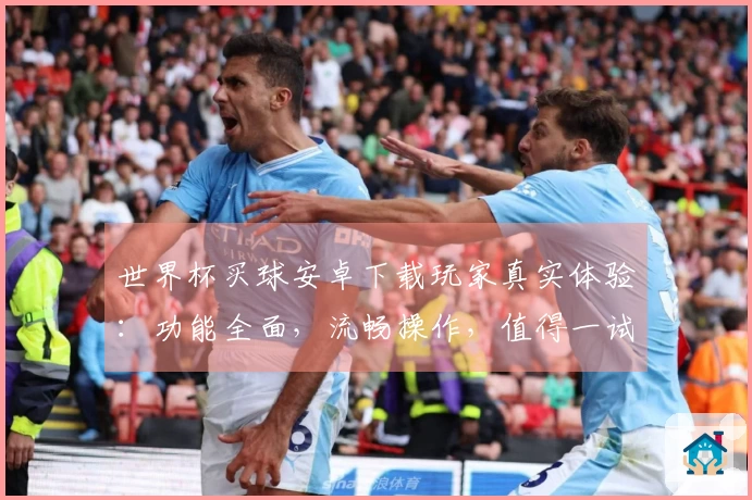 世界杯买球安卓下载玩家真实体验：功能全面，流畅操作，值得一试